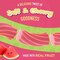 Watermelon Gourmet Australian Style Soft & Chewy Licorice Candy Twists - 10 oz (Case of 10)